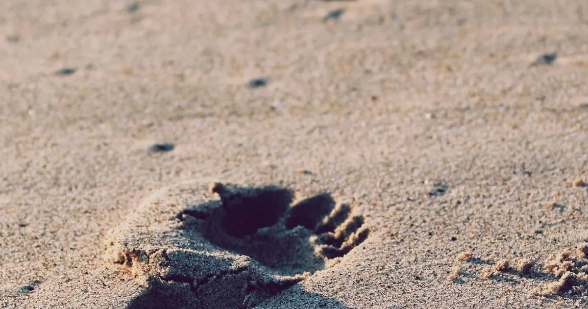 Comment récupérer contact Android cassé