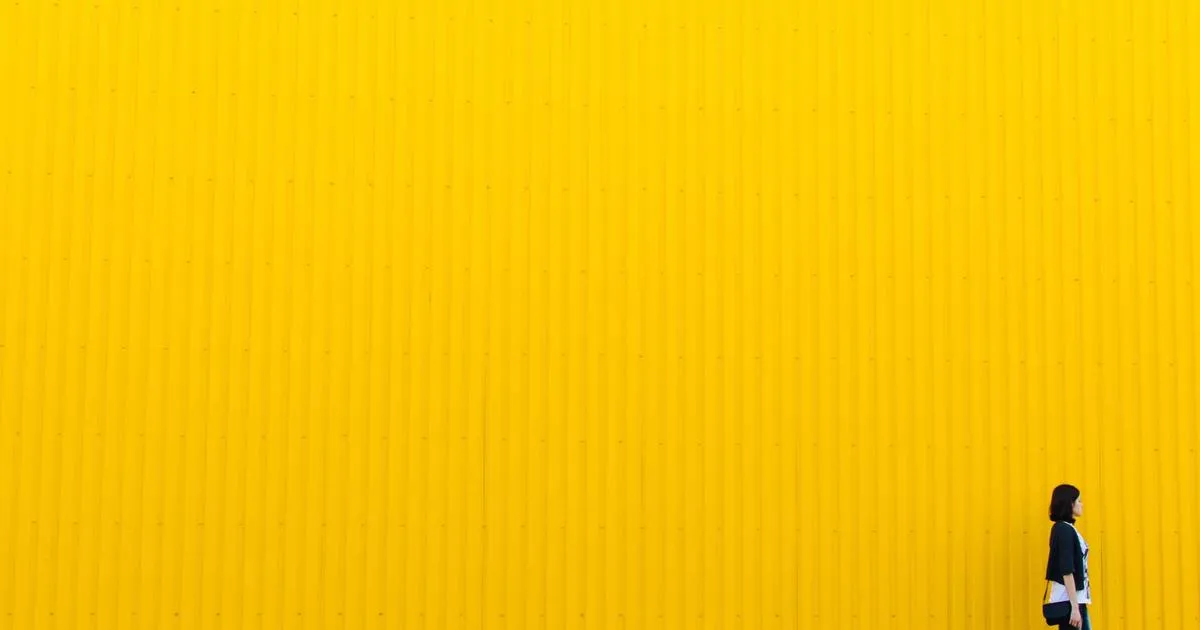 Fusion imminente des applications Free et l'arrivée prochaine du Wi-Fi 8 : le résumé de la semaine